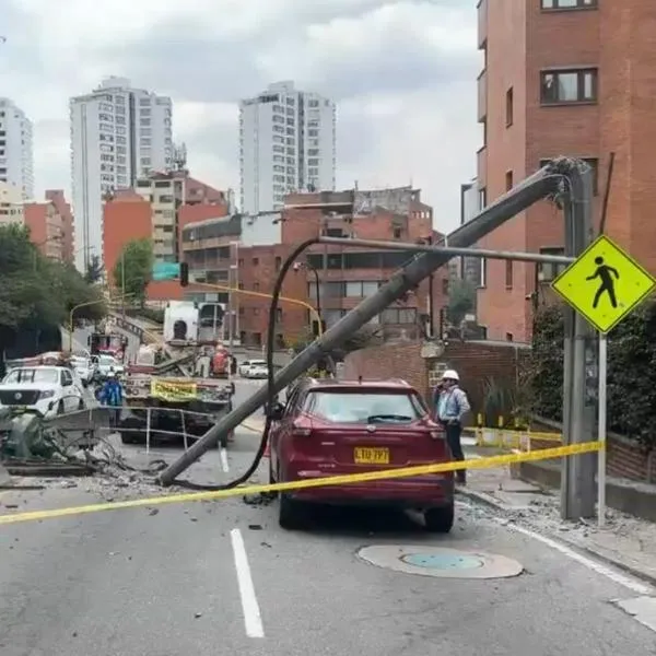 Caída de árbol Avenida Circunvalar.