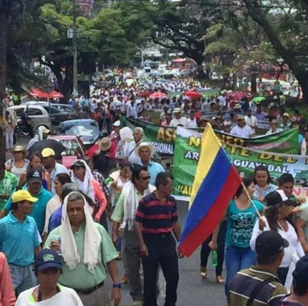 Arroceros entraron en paro indefinido contra el Gobierno por crisis del sector