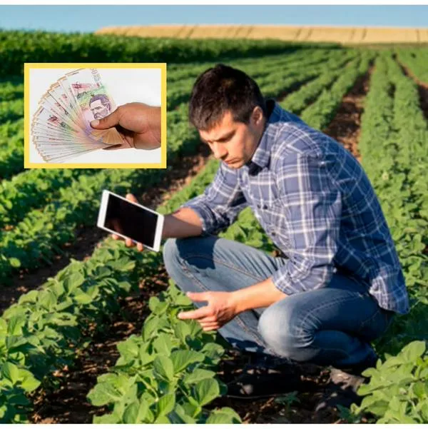 ¿Cuánto gana un tecnólogo agropecuario en Colombia? Actividades son específicas