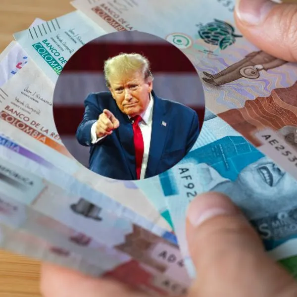 Café, flores, aguacate y más productos colombianos, en alerta por medidas arancelarías de Donald Trump, presidente de Estados Unidos. Acá, los detalles.