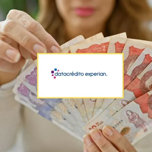 Datacrédito revela reportes de colombianos con créditos: ¿positivos o negativos?