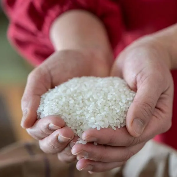 Venta de arroz en Medellín tendría abasto 15 días más por crisis de paro