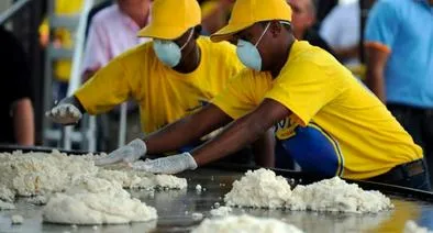 Le hacen frente a un hongo que ataca la arepa, el producto más popular en el desayuno de los colombianos 