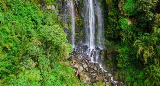 image_desktop