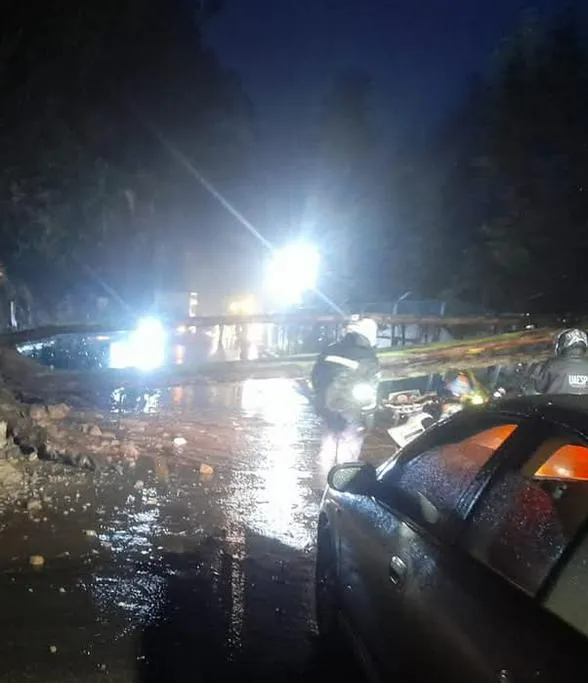 imagen articulo principal apertura