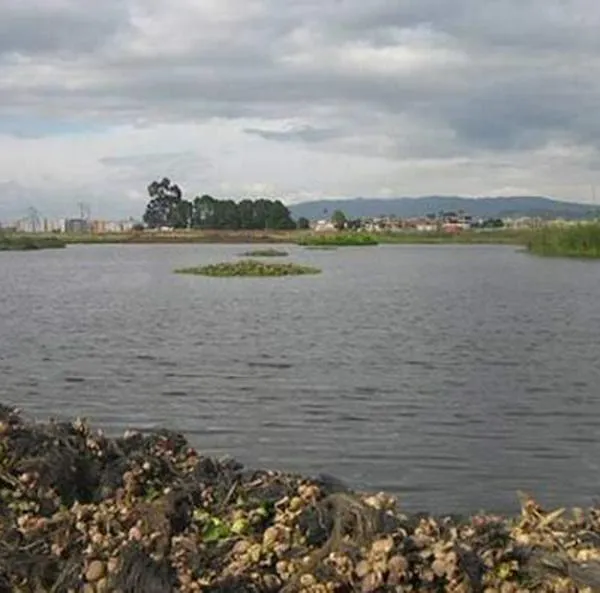 Hallan cadáver flotando en aguas del humedal Jaboque, en Engativá, ¿qué pasó?