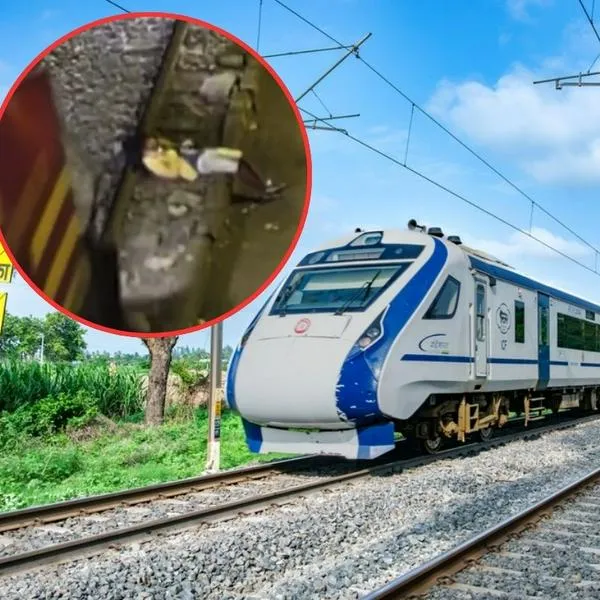 Tren arrolló a hombre que estaba dormido en los rieles y logró sobrevivir