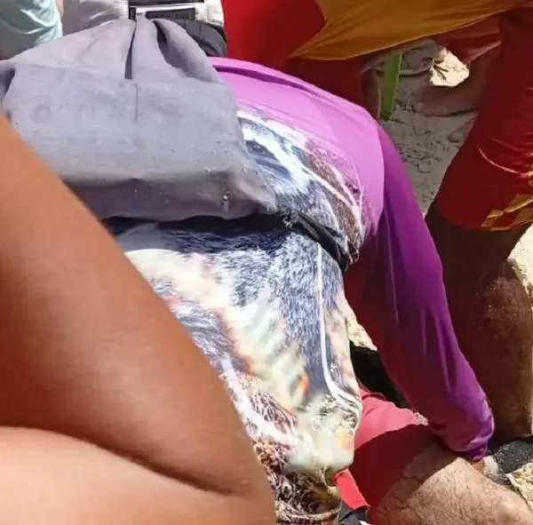 Cartagena: turista chileno, atropellado por lancha en playa Blanca y lo robaron