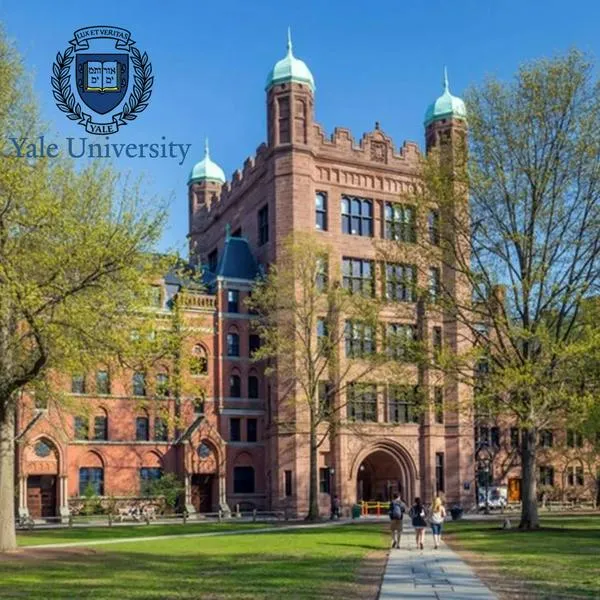 ¿Cuánto cuesta un curso en Yale? 