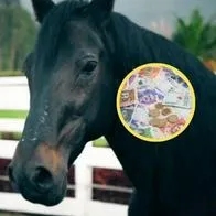 ¿Quién es el dueño del caballo fino más caro de Colombia?