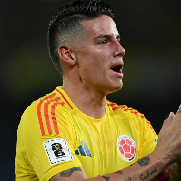 Los puntos que necesita la Selección Colombia en marzo para acariciar el Mundial 2026