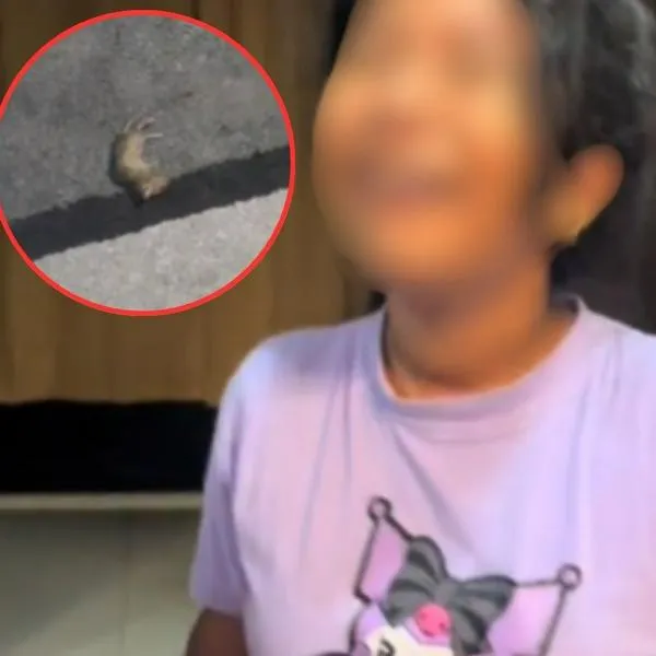 Niña llora por la supuesta muerte del Ratón Pérez por culpa de su mascota