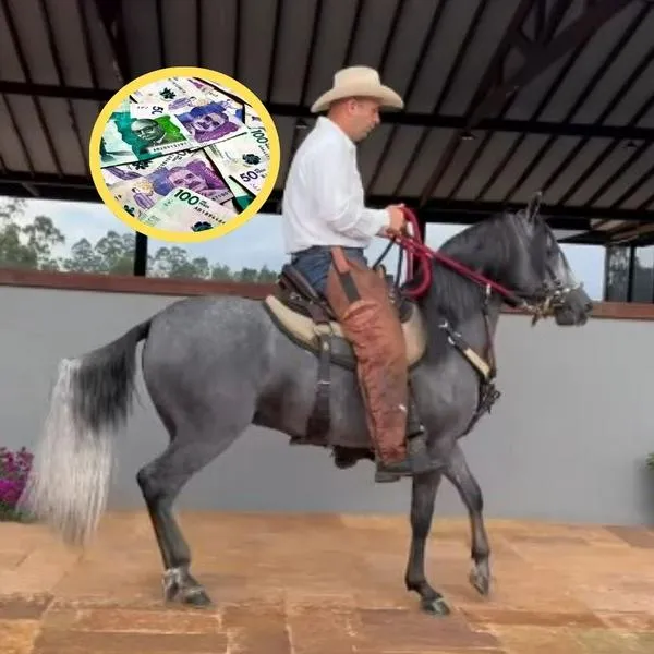 ¿Cuánto cobra un montador de caballos en Colombia? Este es el éxito de un jinete