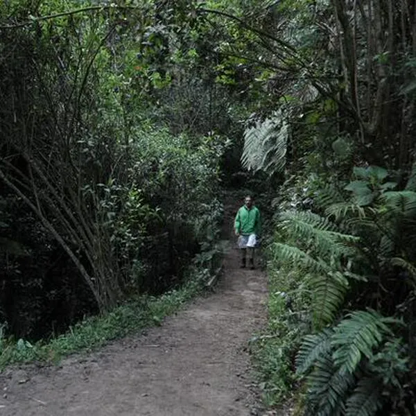 Madre e hijo fueron víctimas de robo y secuestro en sendero de los Cerros Orientales