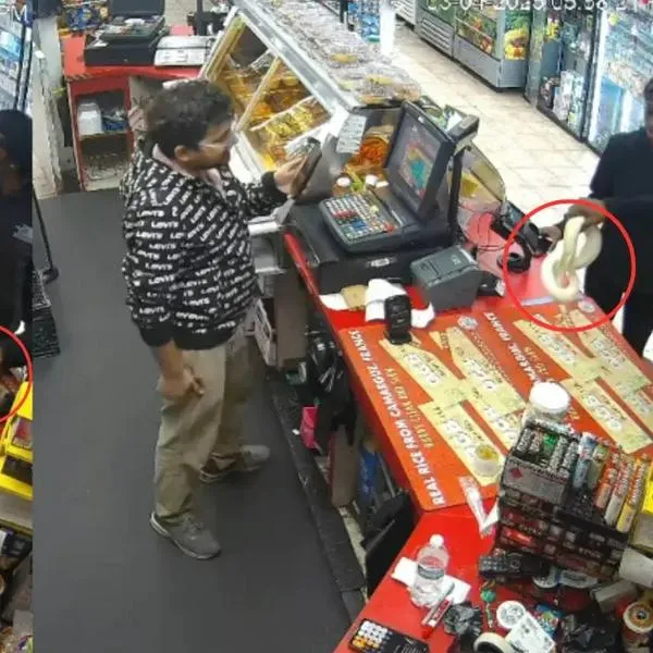 Video | Ladrones habrían usado serpientes como armas para robar un almacén en Estados Unidos