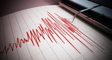 Terremoto en Nueva Zelanda.