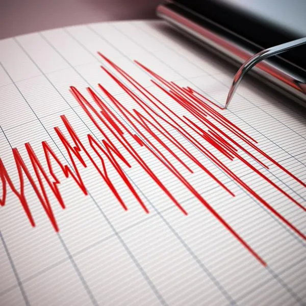 Terremoto en Nueva Zelanda.
