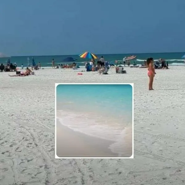 Fotos de Siesta Beach, en nota de cuál es la mejor playa de Estados Unidos: cerca de Miami, cristalina en Florida