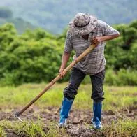 Rueda de negocios en Boyacá para que campesinos vendan sin intermediarios