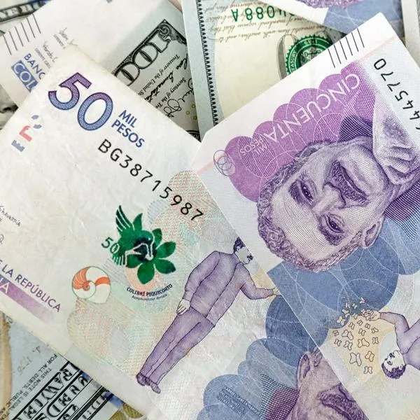 Fondo de Garantías FGA respaldó desembolsos por $ 424.069 millones en país