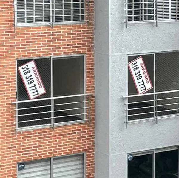 Buenas nuevas para quienes viven en arriendo en Colombia y tienen mascota. Los propietarios no podrán hacer esta exigencia. Acá, los detalles.