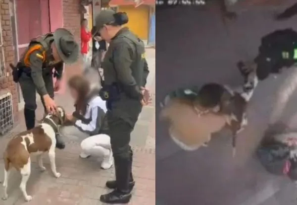 Hombre le ordenó a su perro pitbull atacar a un policía en Bogotá