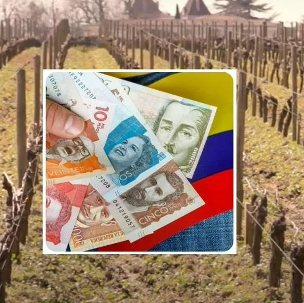 Foto de Château Pétrus y dinero colombiano, en nota de qué negocio tiene mujer más rica de Colombia, dueña de Bavaria, en famosa finca
