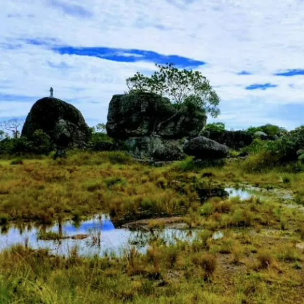Guaviare se posicionará bajo el lema 'tesoro de la Amazonía'