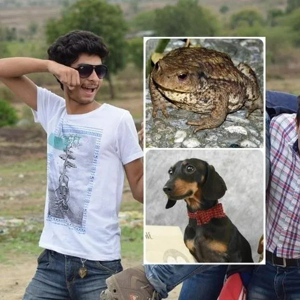 Foto de amigos, sapo y perro, en nota de qué significa sapoperro en Colombia: origen y uso curioso del insulto colombiano