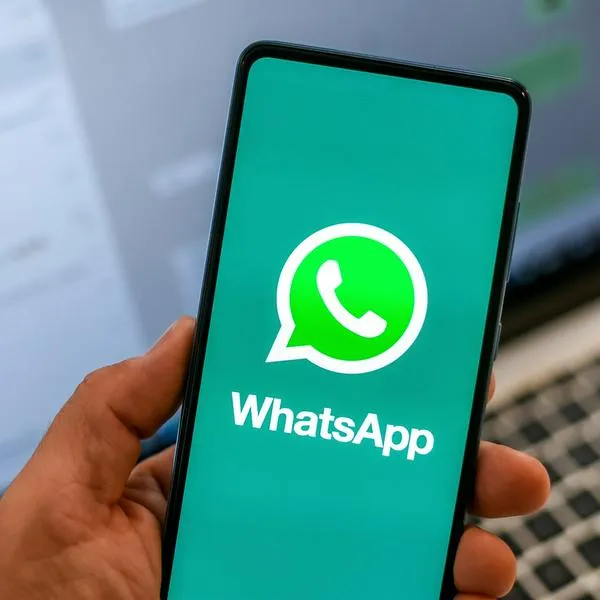 ¿Cómo saber con qué contacto se habla más en WhatsApp? 