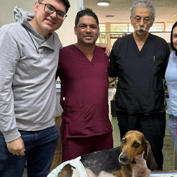 Video | Multaron al hombre que abandonó a una perrita con la columna fracturada en las calles de Bucaramanga