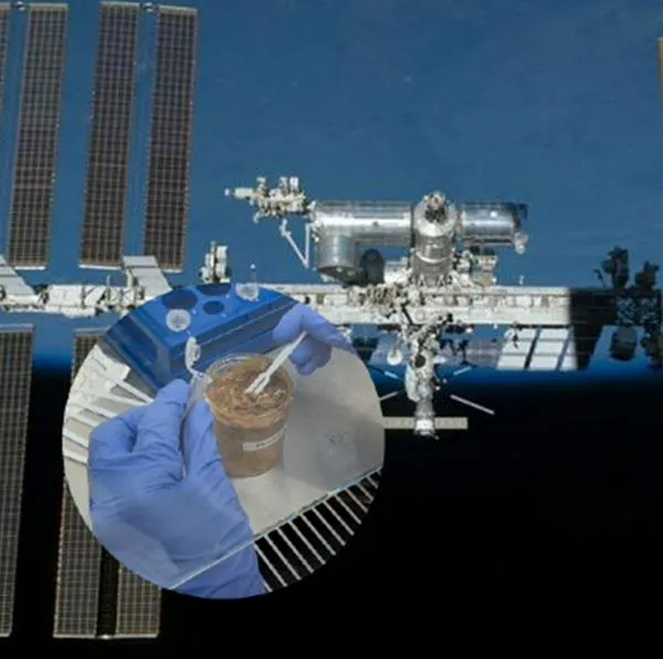 El increíble resultado que obtuvieron científicos al fermentar famoso condimento japonés, llamado miso, en la Estación Espacial Internacional.