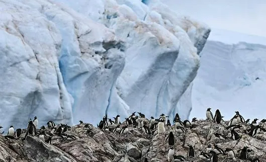 image_desktop