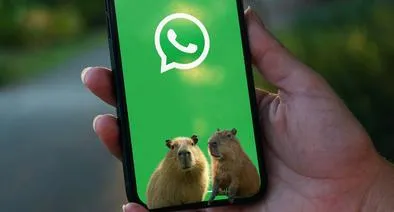 ¿Cómo activar el modo capibara en WhatsApp?
