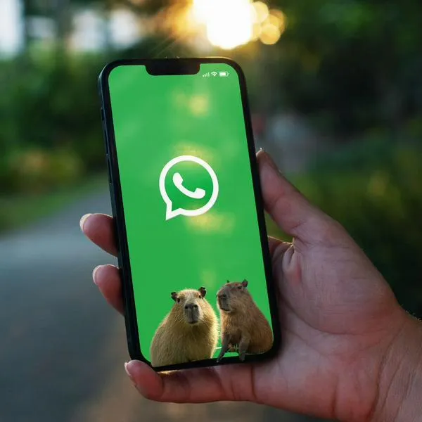 ¿Cómo activar el modo capibara en WhatsApp?
