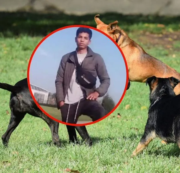 Joven que fue atacado por perros en Bogotá aún no sabe que perdió los brazos