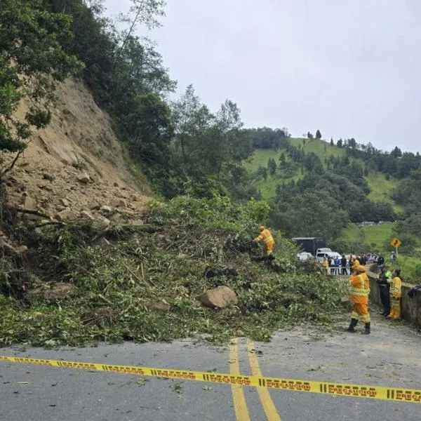 Vía Manizales-Bogotá, cerrada por derrumbe y vehículos llevan horas detenidos