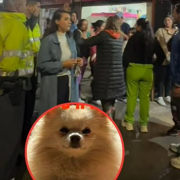 Así fue el operativo donde rescataron a Duquesa, la perrita que fue robada en una tienda en Bogotá