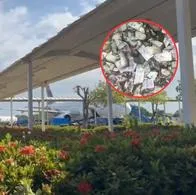 Imágenes de la balacera en el aeropuerto de Riohacha, durante un robo de un carro de valores. Delincuentes quemaron dinero