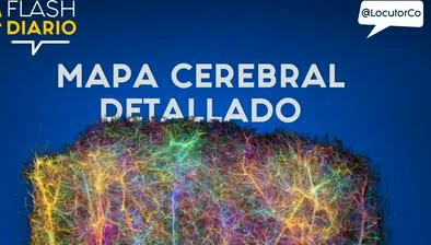 La sorprendente red neuronal que rompe récords en la neurociencia