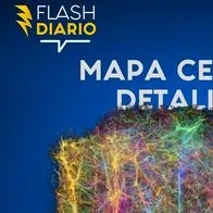 La sorprendente red neuronal que rompe récords en la neurociencia