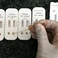 ¿Fiebre amarilla es igual al dengue? Explican virus peligroso en Colombia