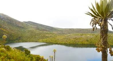 Parque Nacional Natural Chingaza. 