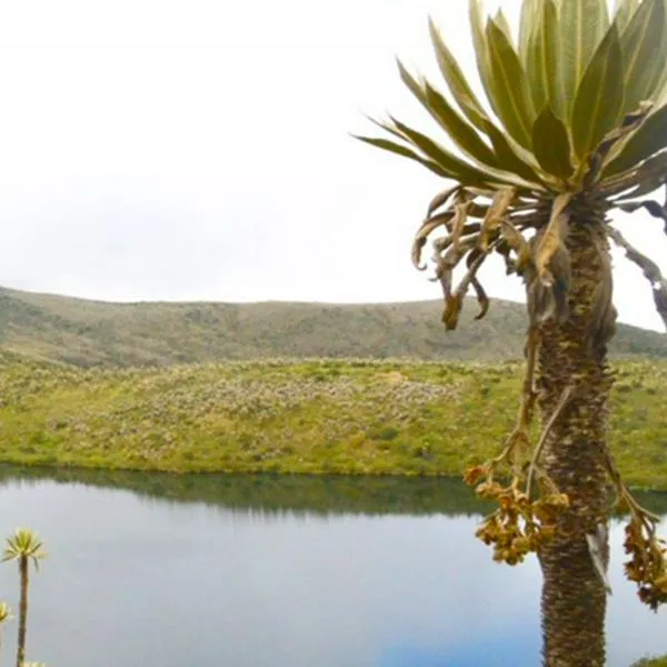 Parque Nacional Natural Chingaza. 