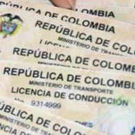 Cómo evitar multa por no llevar licencia de conducción y salvar viaje en Semana Santa
