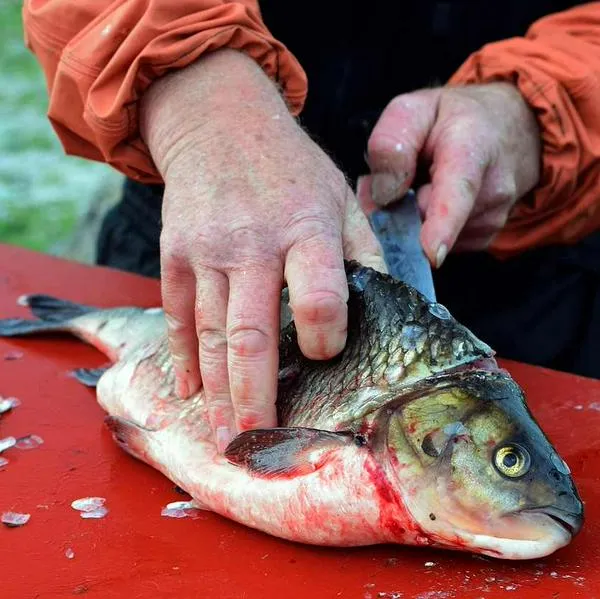 en nota sobre cómo se puede eliminar el olor a pescado al cocinar: truco fácil en Semana Santa