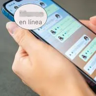 ¿Cómo elegir en WhatsApp el estado en línea?