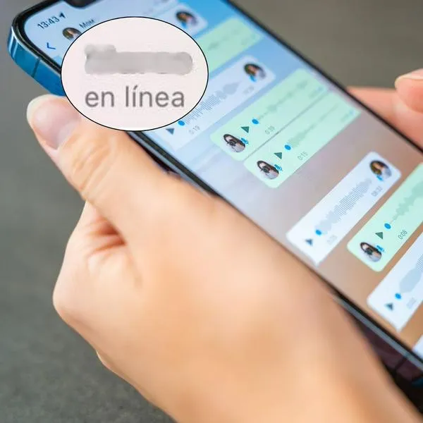 ¿Cómo elegir en WhatsApp el estado en línea?