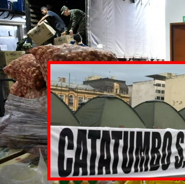 Bogotá recibió familias desplazadas del Catatumbo y se activan protocolos