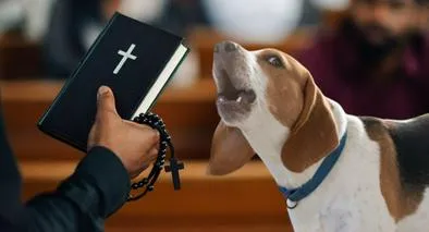 Frase "le fue como a perro en misa"